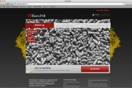 Новый интернет сайт про горелки гранул BurnPell запущен